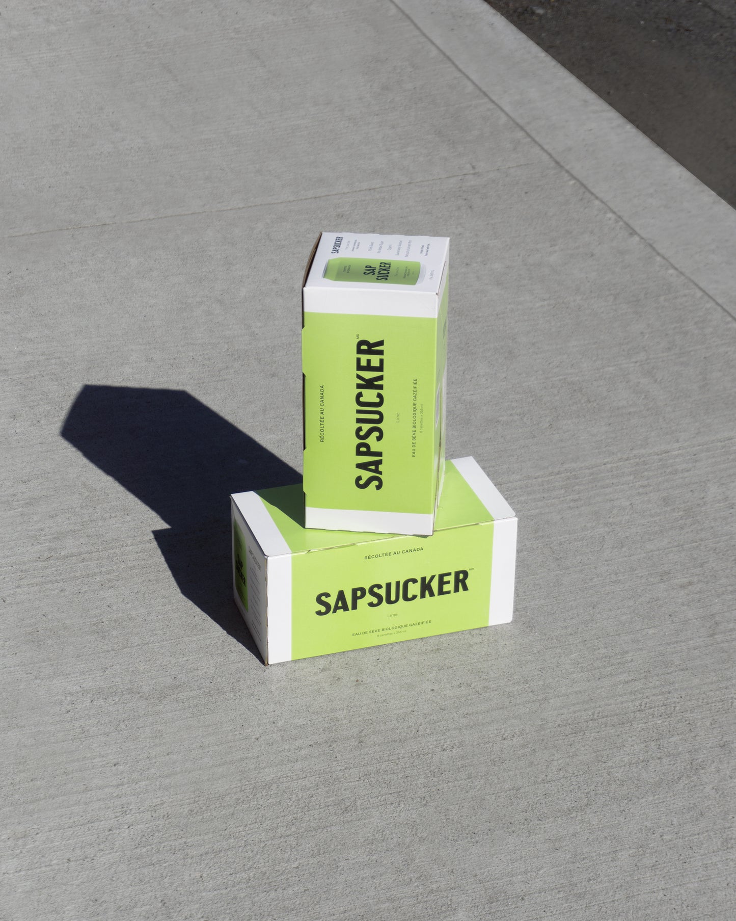 Sapsucker 12/pack