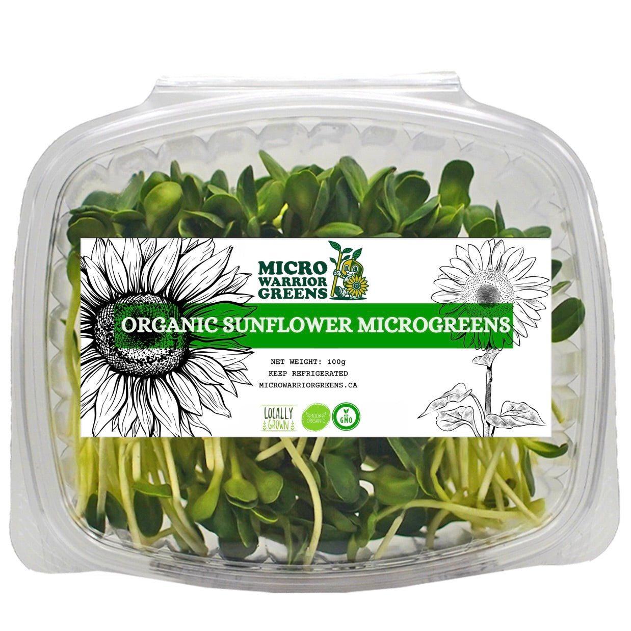 Microgreens In Box Organic Sunflower Microgreens (100g) – Micro Warrior Greens