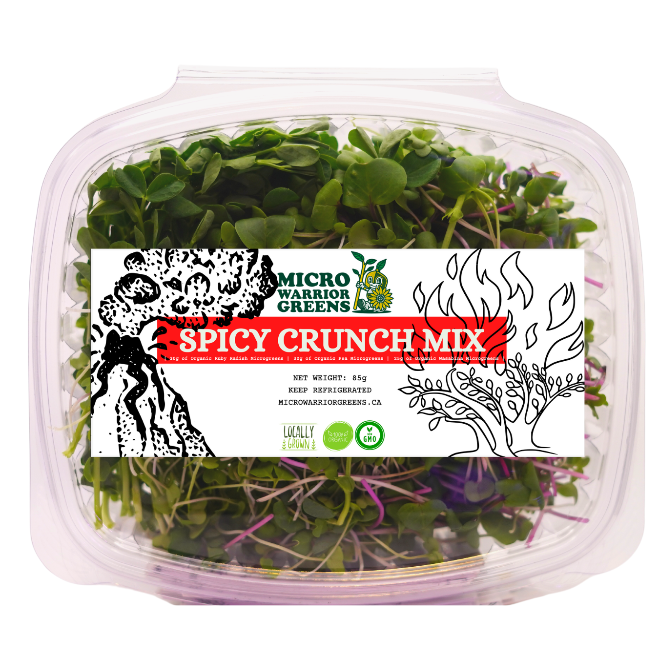 The Spicy Crunch Mix (85g)